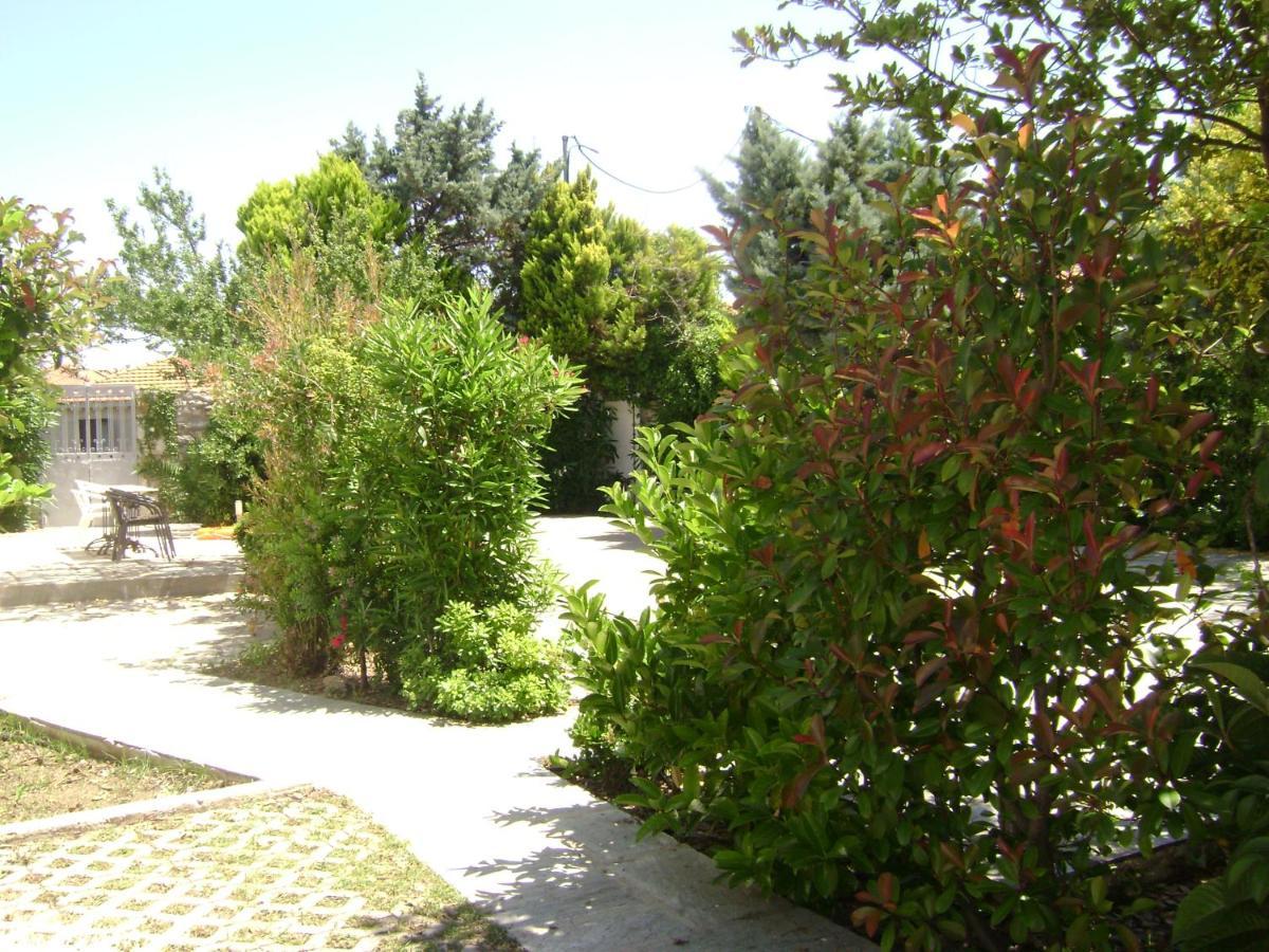 Planitas * Città di Skopelos