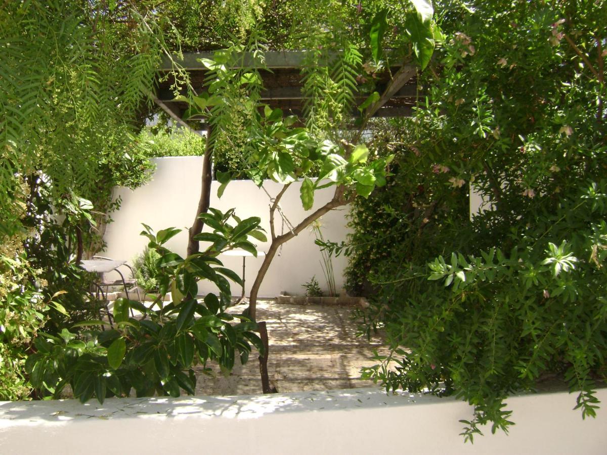 Planitas