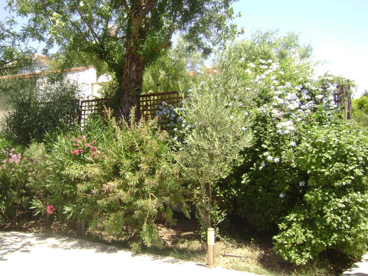 Planitas Villa